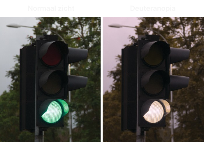 The difference between normal vision and deuteranopia (red-green blindness)